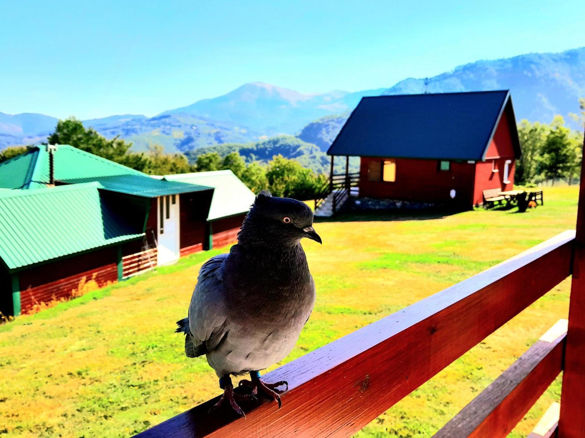 Etno Village Coric Mojkovac Exteriér fotografie