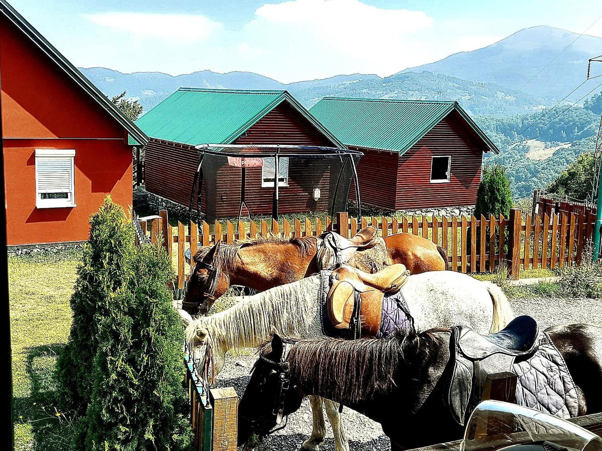 Etno Village Coric Mojkovac Exteriér fotografie