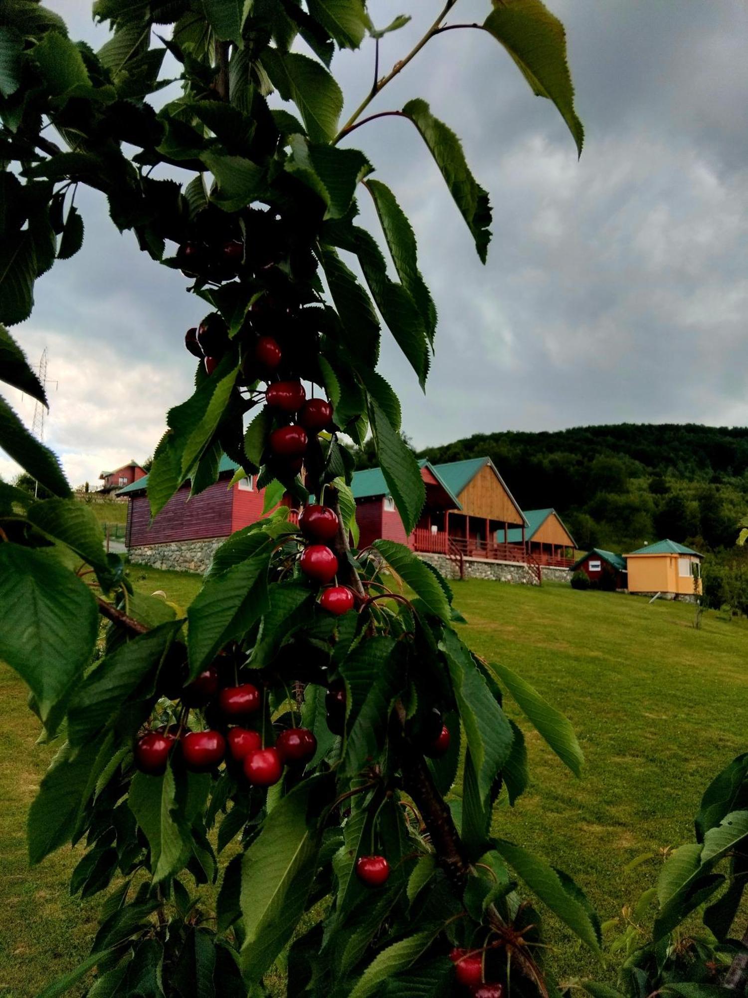 Etno Village Coric Mojkovac Exteriér fotografie